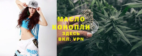 дмт Снежногорск
