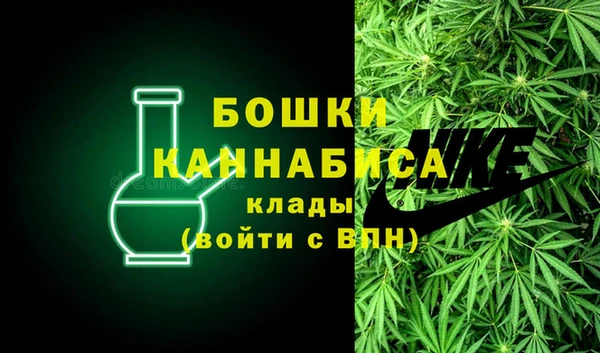 сатива Бугульма