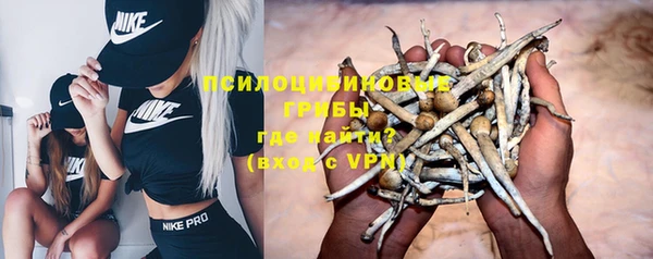 сатива Бугульма